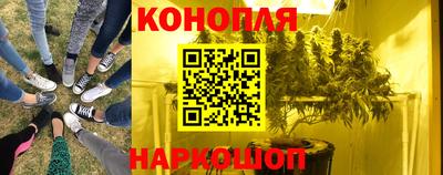 прущие крисы Краснознаменск