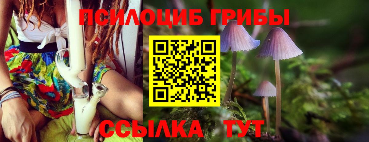 Псилоцибиновые грибы Psilocybine cubensis Карталы